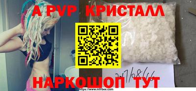 стафф Донской