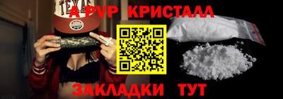 стафф Донской