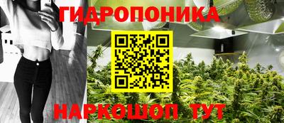 стафф Донской