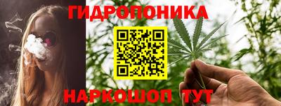 прущие крисы Дубна