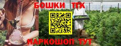 стафф Донской
