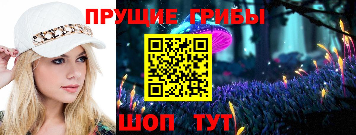 Псилоцибиновые грибы мицелий  Вход с VPN  Магадан 